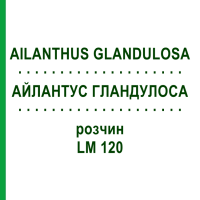 АЙЛАНТУС ГЛАНДУЛОСА (AILANTHUS GLANDULOSA) LM 120 раствор 10 мл - Гомеопатия ARCANA DR.SEWERIN