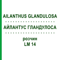 АЙЛАНТУС ГЛАНДУЛОСА (AILANTHUS GLANDULOSA) LM 14 розчин 10 мл - Гомеопатія ARCANA DR.SEWERIN