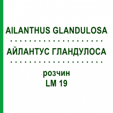 АЙЛАНТУС ГЛАНДУЛОСА (AILANTHUS GLANDULOSA) LM 19 раствор 10 мл - Гомеопатия ARCANA DR.SEWERIN