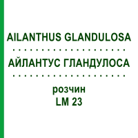 АЙЛАНТУС ГЛАНДУЛОСА (AILANTHUS GLANDULOSA) LM 23 раствор 10 мл - Гомеопатия ARCANA DR.SEWERIN