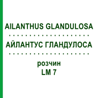 АЙЛАНТУС ГЛАНДУЛОСА (AILANTHUS GLANDULOSA) LM 7 раствор 10 мл - Гомеопатия ARCANA DR.SEWERIN
