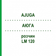 АЮГА (AJUGA) LM 120 раствор 10 мл - Гомеопатия ARCANA DR.SEWERIN