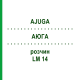 АЮГА (AJUGA) LM 14 раствор 10 мл - Гомеопатия ARCANA DR.SEWERIN