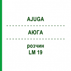 АЮГА (AJUGA) LM 19 раствор 10 мл - Гомеопатия ARCANA DR.SEWERIN