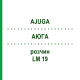 АЮГА (AJUGA) LM 19 раствор 10 мл - Гомеопатия ARCANA DR.SEWERIN
