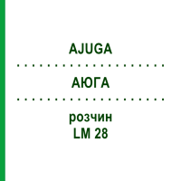 АЮГА (AJUGA) LM 28 розчин 10 мл - Гомеопатія ARCANA DR.SEWERIN