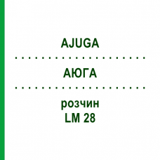 АЮГА (AJUGA) LM 28 раствор 10 мл - Гомеопатия ARCANA DR.SEWERIN