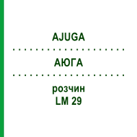 АЮГА (AJUGA) LM 29 розчин 10 мл - Гомеопатія ARCANA DR.SEWERIN