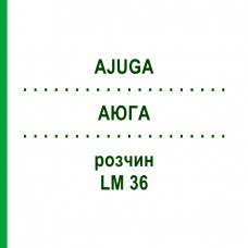 АЮГА (AJUGA) LM 36 раствор 10 мл - Гомеопатия ARCANA DR.SEWERIN