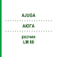 АЮГА (AJUGA) LM 60 раствор 10 мл - Гомеопатия ARCANA DR.SEWERIN