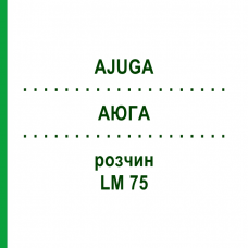 АЮГА (AJUGA) LM 75 раствор 10 мл - Гомеопатия ARCANA DR.SEWERIN