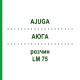АЮГА (AJUGA) LM 75 раствор 10 мл - Гомеопатия ARCANA DR.SEWERIN