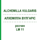 АЛХЕМИЛЛА ВУЛГАРИС (ALCHEMILLA VULGARIS) LM 11 раствор 10 мл - Гомеопатия ARCANA DR.SEWERIN