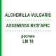 АЛХЕМИЛЛА ВУЛГАРИС (ALCHEMILLA VULGARIS) LM 18 раствор 10 мл - Гомеопатия ARCANA DR.SEWERIN