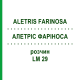 АЛЕТРИС ФАРИНОСА (ALETRIS FARINOSA) LM 29 раствор 10 мл - Гомеопатия ARCANA DR.SEWERIN