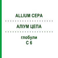 АЛЛИУМ ЦЕПА (ALLIUM CEPA) C 6 глобули 10 г - Гомеопатия SPAGYRA