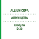 АЛЛИУМ ЦЕПА (ALLIUM CEPA) D 30 глобули 10 г - Гомеопатия SPAGYRA
