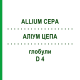 АЛЛИУМ ЦЕПА (ALLIUM CEPA) D 4 глобули 10 г - Гомеопатия SPAGYRA