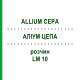 АЛЛИУМ ЦЕПА (ALLIUM CEPA) LM 10 раствор 10 мл - Гомеопатия ARCANA DR.SEWERIN