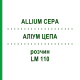 АЛЛИУМ ЦЕПА (ALLIUM CEPA) LM 110 раствор 10 мл - Гомеопатия ARCANA DR.SEWERIN