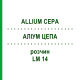 АЛЛИУМ ЦЕПА (ALLIUM CEPA) LM 14 раствор 10 мл - Гомеопатия ARCANA DR.SEWERIN