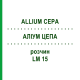 АЛЛИУМ ЦЕПА (ALLIUM CEPA) LM 15 раствор 10 мл - Гомеопатия ARCANA DR.SEWERIN