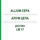 АЛЛИУМ ЦЕПА (ALLIUM CEPA) LM 17 раствор 10 мл - Гомеопатия ARCANA DR.SEWERIN