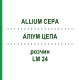 АЛЛИУМ ЦЕПА (ALLIUM CEPA) LM 24 раствор 10 мл - Гомеопатия ARCANA DR.SEWERIN