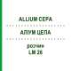 АЛЛИУМ ЦЕПА (ALLIUM CEPA) LM 26 раствор 10 мл - Гомеопатия ARCANA DR.SEWERIN