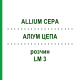 АЛЛИУМ ЦЕПА (ALLIUM CEPA) LM 3 раствор 10 мл - Гомеопатия ARCANA DR.SEWERIN