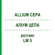 АЛЛИУМ ЦЕПА (ALLIUM CEPA) LM 5 раствор 10 мл - Гомеопатия ARCANA DR.SEWERIN