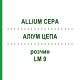 АЛЛИУМ ЦЕПА (ALLIUM CEPA) LM 9 раствор 10 мл - Гомеопатия ARCANA DR.SEWERIN