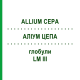 АЛЛИУМ ЦЕПА (ALLIUM CEPA) LM III глобули 5 г - Гомеопатия DHU
