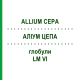 АЛЛИУМ ЦЕПА (ALLIUM CEPA) LM VI глобули 5 г - Гомеопатия DHU