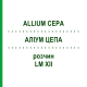АЛЛИУМ ЦЕПА (ALLIUM CEPA) LM XII раствор 10 мл - Гомеопатия DHU