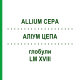 АЛЛИУМ ЦЕПА (ALLIUM CEPA) LM XVIII глобули 5 г - Гомеопатия DHU