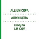 АЛЛИУМ ЦЕПА (ALLIUM CEPA) LM XXIV глобули 5 г - Гомеопатия DHU