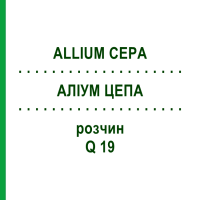 АЛЛИУМ ЦЕПА (ALLIUM CEPA) Q 19 раствор 15 мл - Гомеопатия GUDJONS