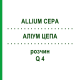 АЛІУМ ЦЕПА (ALLIUM CEPA) Q 4 розчин 15 мл - Гомеопатія GUDJONS