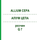 АЛІУМ ЦЕПА (ALLIUM CEPA) Q 7 розчин 15 мл - Гомеопатія GUDJONS