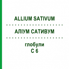 АЛЛИУМ САТИВУМ (ALLIUM SATIVUM) C 6 глобули 10 г - Гомеопатия DHU