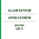 АЛЛИУМ САТИВУМ (ALLIUM SATIVUM) LM 11 раствор 10 мл - Гомеопатия ARCANA DR.SEWERIN