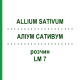 АЛЛИУМ САТИВУМ (ALLIUM SATIVUM) LM 7 раствор 10 мл - Гомеопатия ARCANA DR.SEWERIN