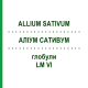 АЛЛИУМ САТИВУМ (ALLIUM SATIVUM) LM VI глобули 5 г - Гомеопатия DHU