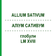 АЛЛИУМ САТИВУМ (ALLIUM SATIVUM) LM XVIII глобули 5 г - Гомеопатия DHU