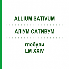 АЛЛИУМ САТИВУМ (ALLIUM SATIVUM) LM XXIV глобули 5 г - Гомеопатия DHU