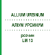 АЛЛИУМ УРСИНУМ (ALLIUM URSINUM) LM 13 раствор 10 мл - Гомеопатия ARCANA DR.SEWERIN