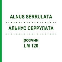 АЛЬНУС СЕРРУЛАТА (ALNUS SERRULATA) LM 120 раствор 10 мл - Гомеопатия ARCANA DR.SEWERIN