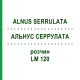 АЛЬНУС СЕРРУЛАТА (ALNUS SERRULATA) LM 120 розчин 10 мл - Гомеопатія ARCANA DR.SEWERIN