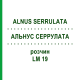 АЛЬНУС СЕРРУЛАТА (ALNUS SERRULATA) LM 19 розчин 10 мл - Гомеопатія ARCANA DR.SEWERIN